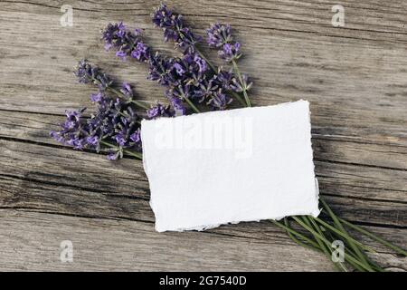 Sommer floral Schreibwaren Stillleben Szene. Leere Grußkarte Nachbildung auf altem Holztisch Hintergrund mit Lavendelblüten. Flach liegend, Draufsicht Stockfoto