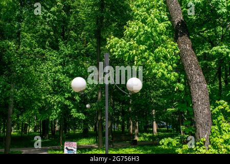 Runde Straßenlaternen im Park, Sommer Stockfoto