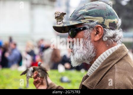 Bärtiger Mann mit Mütze, ein Sperling auf seinem Visier. Paris Stockfoto