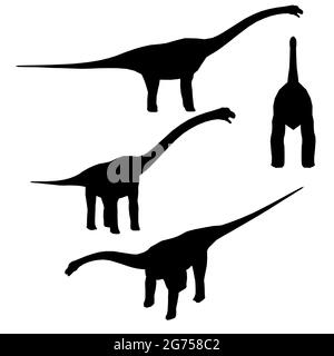 Set mit Silhouetten eines Dinosauriers in verschiedenen Positionen isoliert auf weißem Hintergrund. Vektorgrafik. Stock Vektor