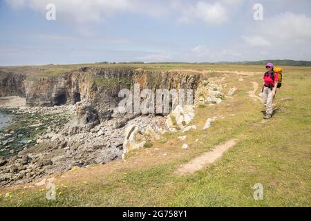 Person, die auf dem Pembrokeshire Coast Path in der Nähe von Bosherston, Wales, Großbritannien, läuft Stockfoto