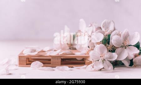 Holzpodium in Form von Palette auf heller Putzfläche mit Apfelblüten. Podium, Podest oder Bühne. Nachbau für kosmetische Produkte. Banner Stockfoto