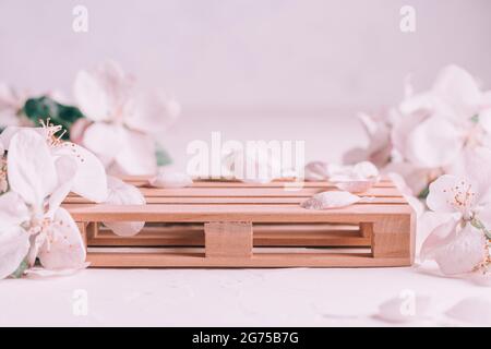 Holzpodium in Form von Palette auf heller Putzfläche mit Apfelblüten. Podium, Podest oder Bühne. Nachbau für kosmetische Produkte Stockfoto