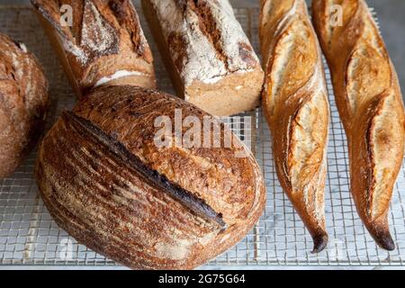 Ein Haufen frisch gebackenes Brot Stockfoto