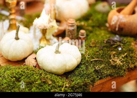 Weicher Fokus der Zusammensetzung von kleinen Glasflaschen und verschiedenen Pflanzen auf Holztisch platziert Stockfoto