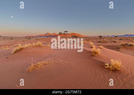 Mond über dem Horizont bei Sonnenuntergang in der Namib-Wüste Stockfoto