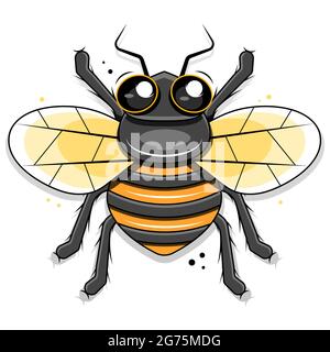 Niedliche kleine Biene isoliert auf weißem Hintergrund Illustration Stock Vektor
