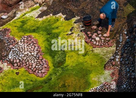 Dunbar, East Lothian, Schottland, Großbritannien, 11. Juli 2021. European Stone Stacking Championship: Am zweiten und letzten Tag treten die Landkünstler in einer künstlerischen Herausforderung an, in der sie 4 Stunden Zeit haben, um eine Felsskulptur zu erschaffen. Im Bild: Teilnehmer Mark Anthony Haden Ford Stockfoto