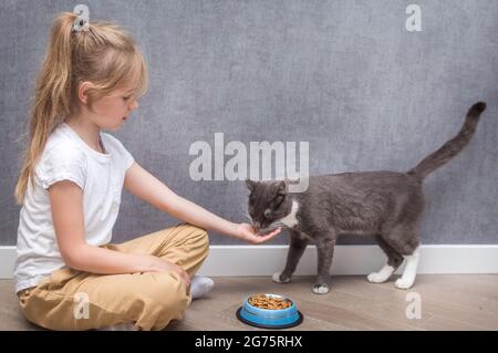 Das Kind füttert seine Katze mit trockenem Futter. Porträt auf grauem Hintergrund Stockfoto