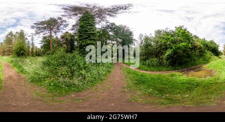 360 Grad Panorama Ansicht von Vollständiges, kugelförmiges, nahtloses Panorama 360-Grad-Ansicht eines Fußweges durch den Kiefernwald