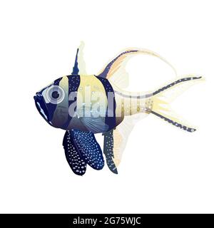 Tropische Fische isoliert auf weißem Hintergrund. Banggai Kardinalfisch, Meeres- oder Meerwasseraquariumfisch.Meerestier, maritimer Charakter.Vektor-Illustration Stock Vektor