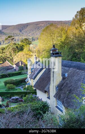 Historische Reethäuser im malerischen Dorf Selworthy, in der Nähe von Minehead, im Exmoor National Park, Somerset, England. Stockfoto