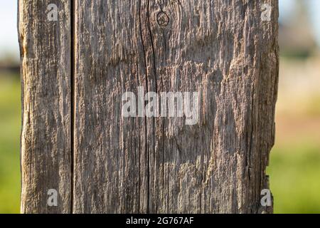 Der Hintergrund sieht aus wie ein altes geripptes Brett. Authentischer Hintergrund als altes Brett mit einer rauen Textur. Stockfoto