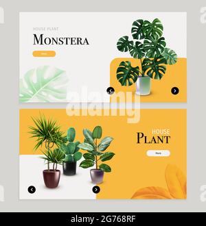 Zimmerpflanzen horizontale Banner mit Monstera Kaktus und anderen exotischen Pflanzen in Blumentöpfen realistische Vektordarstellung Stock Vektor