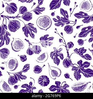 Nahtlose Feigen-Muster. Vektor-Texturdruck. Sommerpflanze, Frucht, Blätter. Botanische organische Set auf weißem Hintergrund. Vintage gravierte Illustration. Entfällt Stock Vektor
