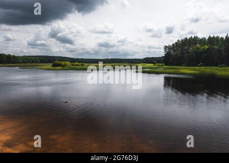Blick auf den Echo-See in Zwierzyniec, Roztocze, Polen. Schöner See umgeben von Wald und Feldern an einem bewölkten Tag. Stockfoto