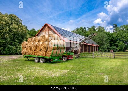 Grüner Anhänger gefüllt mit Heuballen, die vor der Ziegelsteinscheune auf einem Bauernhof geparkt sind. Solarpaneele auf dem Dach der Scheune installiert. Stockfoto