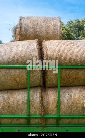 Grüner Anhänger gefüllt mit Heuballen in einer ländlichen Landschaft an einem sonnigen Tag. Stockfoto