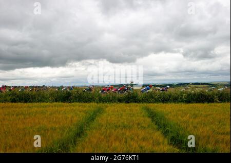 Pewsey, England. 11. Juli 2021. Das Feld passiert Weizenfelder bei den British Cycling Junior National Road Race Championships. Kredit: David Partridge/Alamy Live Nachrichten Stockfoto