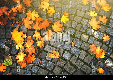Hintergrund herbstlicher Blätter, die auf Pflastersteinpflaster gefallen sind. Stockfoto