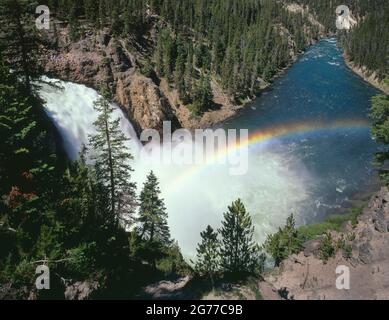 YELLOWSTONE NATIONAL PARK WY/AUG EIN REGENBOGEN ÜBER DEM YELLOWSTONE RIVER UNTERHALB DER OBEREN YELLOWSTONE WASSERFÄLLE Stockfoto