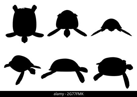 Set mit Silhouetten einer Schildkröte in verschiedenen Positionen isoliert auf weißem Hintergrund. Vektorgrafik. Stock Vektor