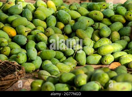 Gelbe zerrissene Mangos auf dem Markt, viele Mangos auf dem Obstmarkt in Pakistan, Pakistan, produzieren die besten Mangos der Welt Stockfoto
