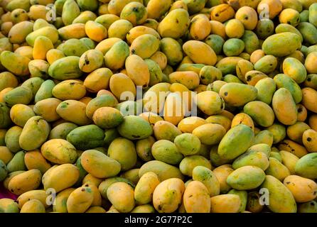 Gelbe zerrissene Mangos auf dem Markt, viele Mangos auf dem Obstmarkt in Pakistan, Pakistan, produzieren die besten Mangos der Welt Stockfoto