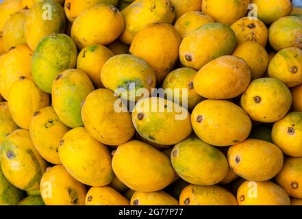 Gelbe zerrissene Mangos auf dem Markt, viele Mangos auf dem Obstmarkt in Pakistan, Pakistan, produzieren die besten Mangos der Welt Stockfoto