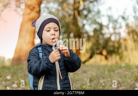 Porträt eines Mädchens, das im Freien auf einer Dandelionenblume bläst. Stockfoto