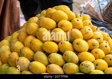 Gelbe zerrissene Mangos auf dem Markt, viele Mangos auf dem Obstmarkt in Pakistan, Pakistan, produzieren die besten Mangos der Welt Stockfoto
