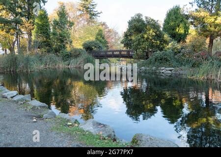 Brücke über einen Teich mit hohen Gräsern bei Tacoma in Washington Stockfoto