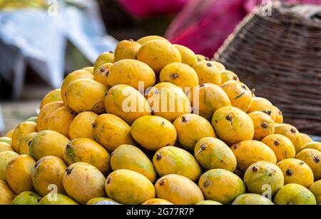 Gelbe zerrissene Mangos auf dem Markt, viele Mangos auf dem Obstmarkt in Pakistan, Pakistan, produzieren die besten Mangos der Welt Stockfoto