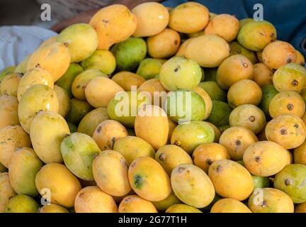 Gelbe zerrissene Mangos auf dem Markt, viele Mangos auf dem Obstmarkt in Pakistan, Pakistan, produzieren die besten Mangos der Welt Stockfoto