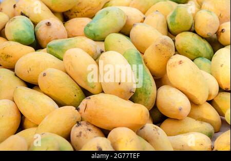 Gelbe zerrissene Mangos auf dem Markt, viele Mangos auf dem Obstmarkt in Pakistan, Pakistan, produzieren die besten Mangos der Welt Stockfoto