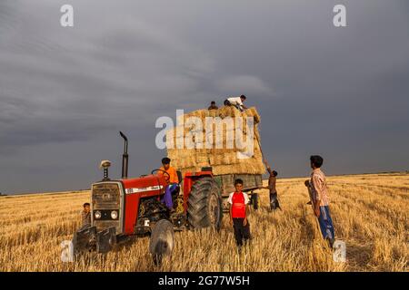 Landwirte, die Strohballen im Weizenfeld, Abendglühen, Gorgan, Provinz Golestan, Iran, Persien, Westasien, Asien Stockfoto