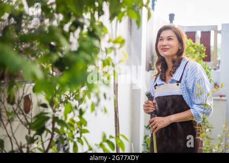 Erwachsene asiatische Hausfrau trägt Schürze hält Wassersprüher und Bewässerung kleine Pflanze in kleinen Hinterhof Hausgarten mit Glück. Stockfoto