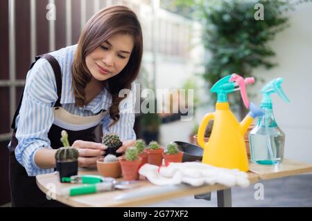 Nette Erwachsene asiatische Frau trägt Schürze halten und ordnen kleinen Topf Kaktus zu Hause mit glücklich als Hobby und entspannen Zeit. Stockfoto