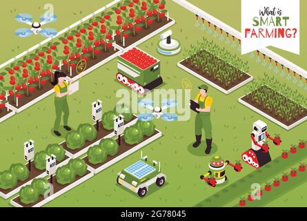 Isometrische Smart Farm Komposition mit Outdoor-Landschaft und fliegenden Drohnen mit Gartenroboter und menschlichen Charakteren Vektor-Illustration Stock Vektor