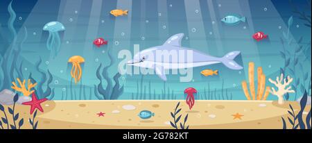 Tauchen Schnorcheln Unterwasserwelt Cartoon Hintergrund mit Delphin Seesterne Meeresboden Algen Korallenriff Vektor-Illustration Stock Vektor
