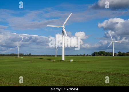 Windturbinen auf einem Feld in der Nähe von Altefaehr, Mecklenburg-Vorpommern, Deutschland Stockfoto