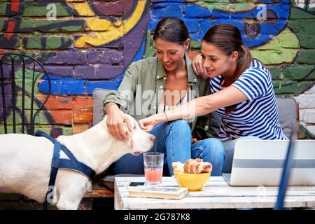 Zwei kaukasische junge Erwachsene Freundinnen, die im Café im Freien sitzen, lächeln und mit einem Hund spielen Stockfoto