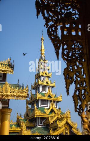 Shwedagon-Pagode, Yangon, Myanmar. Blick auf kunstvoll verzierte Stupas und Türme in Grün und Gold. Stockfoto