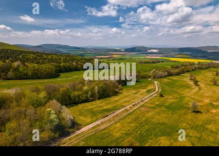 Luftaufnahme der landwirtschaftlichen Landschaft in der Slowakei mit Feldern und Wald in der Sommersaison. Schöne ländliche Landschaft aus der Vogelperspektive. Stockfoto