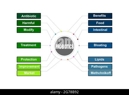 Diagrammkonzept mit Probiotika-Text und Schlüsselwörtern. EPS 10 isoliert auf weißem Hintergrund Stock Vektor