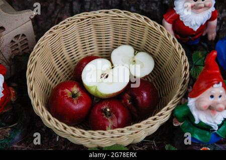 Makroaufnahme, Äpfel, rot, in Scheiben geschnitten, süß, Bio-Garten, Ernte Stockfoto