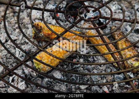 Maiskolben, gegrillt, Grill, Sommer, Grill, Garten Stockfoto