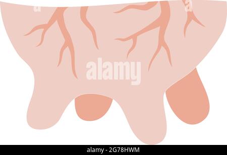 Isolierte Darstellung eines Kuheuters auf weißem Hintergrund Stock Vektor