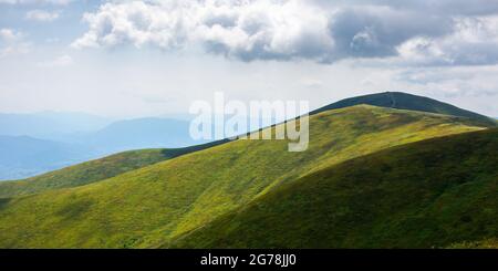 Sanfte Hügel und Wiesen des borzhava-Grats. Wunderschöne Naturlandschaft mit grasbewachsenen Hängen im strahlenden Licht. Wunderbare Sommerlandschaft des ukrainischen Karpfens Stockfoto