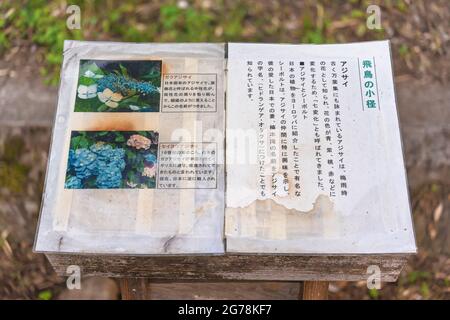 tokio, japan - 15 2021. juni: Nahaufnahme eines lehrreichen Panels, das die Geschichte der japanischen Hortensienblüten Gaku-ajisai und der englischen Spezies Ajisa darstellt Stockfoto